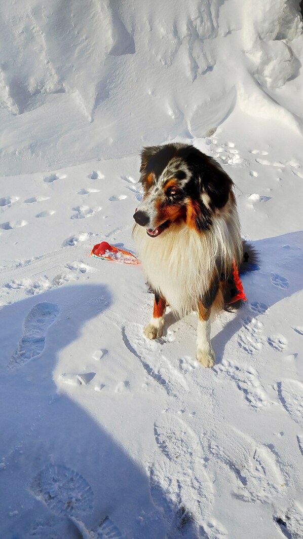 Wintersport/Ski