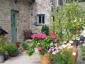 Rear Patio and entrance