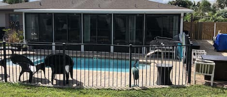 Big Spacious backyard fenced in and a safety fence around pool with lock
