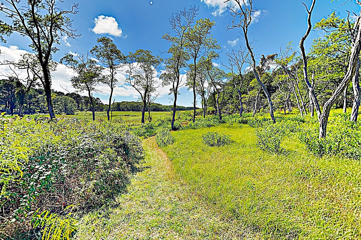 Secluded stunner with deck, patio, & firepit – 24 acres of nature conservation