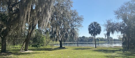 View of the Lake