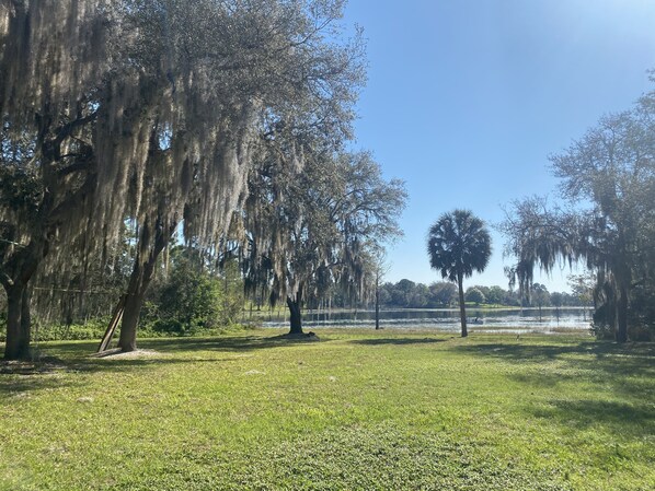 View of the Lake