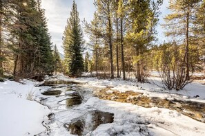 River in backyard