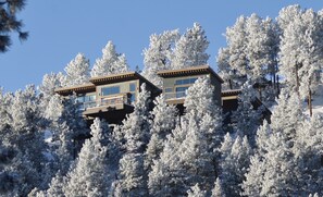 Zen Treehouse in Winter - Photo credit: Craig B.