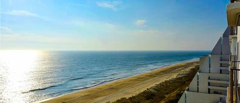 Vue sur la plage ou l’océan