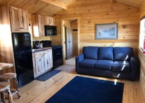 Couch in main room pulls out into queen bed.