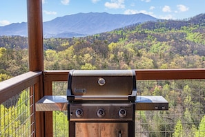 Don't burn the food while staring at Mt. LeConte!