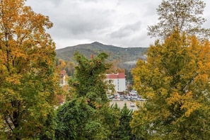 Beautiful Mountain Views Off Your Private Porch!