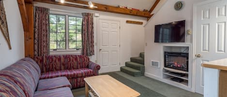 Living area with Electric Fireplace and flat screen TV