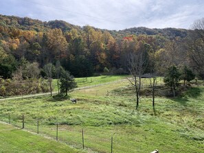 Mountain views from both covered porches!