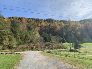 View from parking toward the fishing pond/mountain.