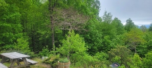A picnic table for outdoor eating