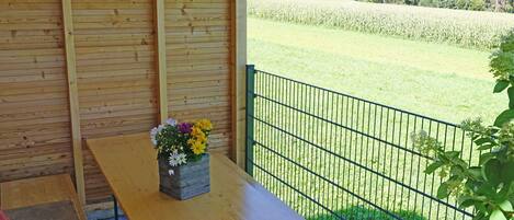 Flower, Plant, Property, Green, Building, Flowerpot, Wood, Shade, Sky, Chair