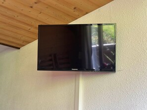 Television