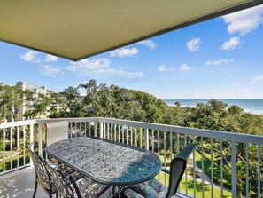 Private 4th Floor Balcony at 411 Barrington Court