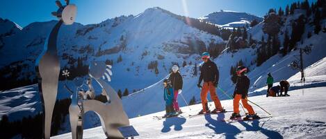 Snø- og skisport
