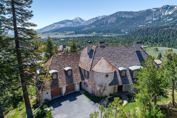 Roof, Tree, Outdoors, Fir, Nature