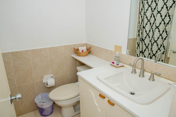 Guest bathroom