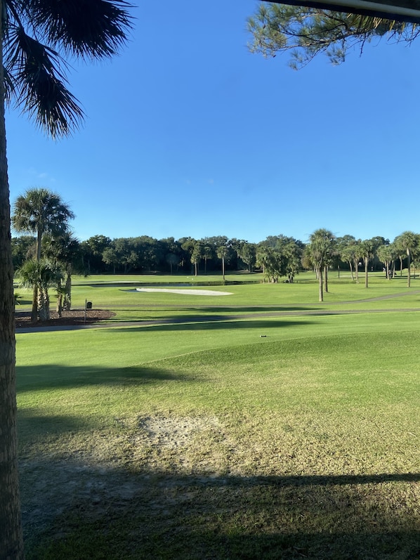 4th Tee Box of The Plantation Course at Edisto