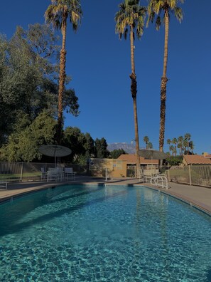 Pool 7 steps from house