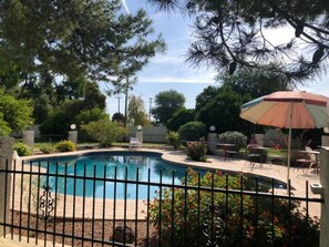 Amazing Pool