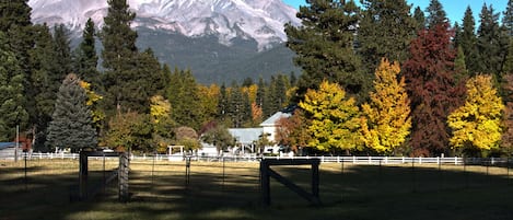 Postcard picture of Spring Creek Ranch!  View of Mt Shasta from property.