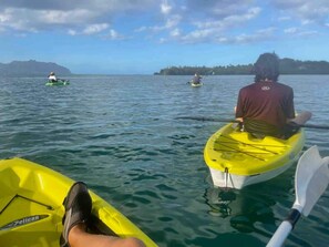 Enjoy kayaking from our backyard. Iconic Coconut Island is straight ahead.