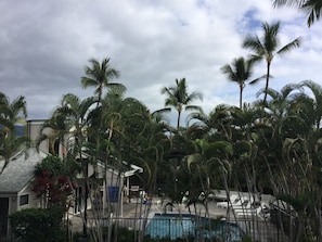 Lanai overlooks pool 