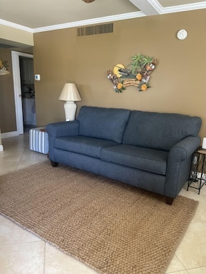 Living Room, with sofa bed