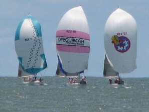 sail boats view from Beach club 