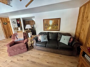 Main living area - Full Size Sofa Sleeper, Pellet Stove Fireplace & TV