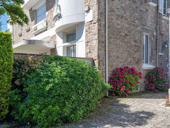 Plant, Window, Property, Building, Flower, Grass, Road Surface, Shrub, Residential Area, Groundcover