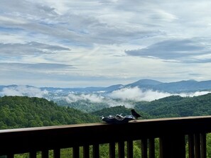 Mountain View--- Summer View 
