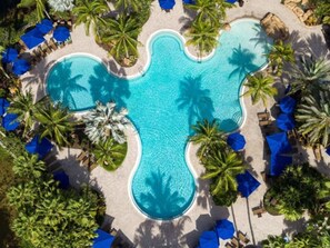 Gorgeous community pool from above