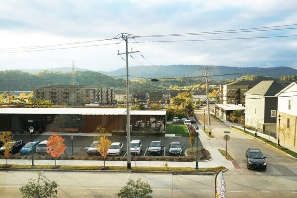 Master Bedroom and Living Room View. The Parkway Pour House Restaurant is directly across the street. Great food and cheap drinks!