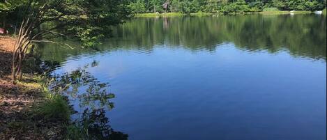 I have a beautiful view of the lake from my backyard.