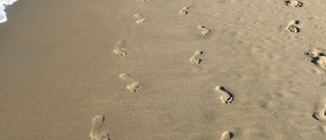 Enjoy walks on the beach at sunset