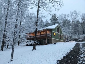 Whole home generator, get snowed in and the fun WONT STOP!!