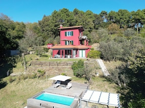 Garden, Outdoor, Pool