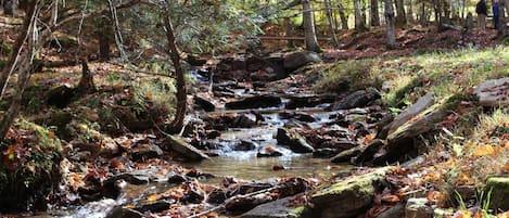 enjoy the creek along the trail