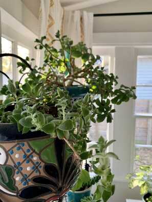 Detalle interior