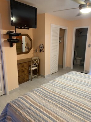 Master suite with vanity area