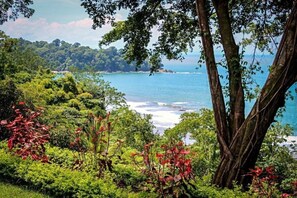 Panoramic ocean views