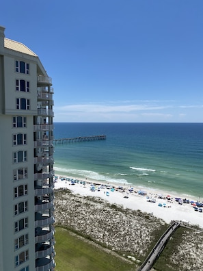 Back porch view