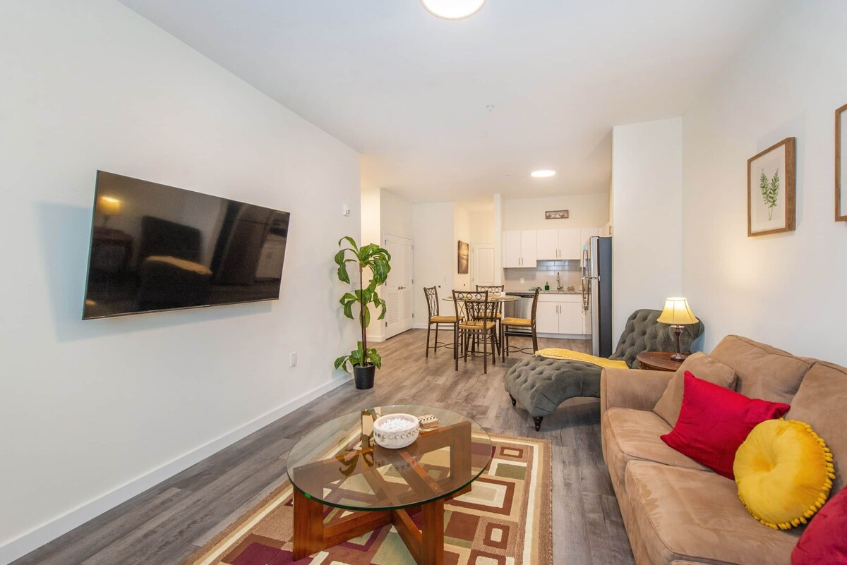 Beautiful Luxury Apartment in Downtown Bound Brook