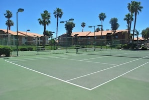 Sport court