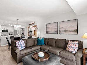 Living Area / Sleep Sofa