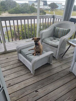 Tucker says sit on the screen porch for coffee before heading out to the beach.