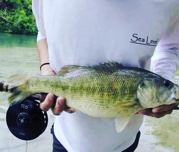 there is excellent fishing on the San Marcos River.