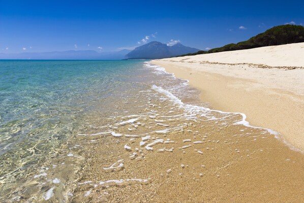 Strand